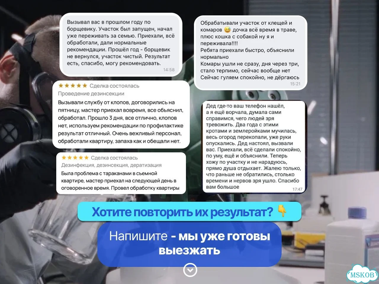 Уничтожение клопов и тараканов. Дезинсекция фото 2