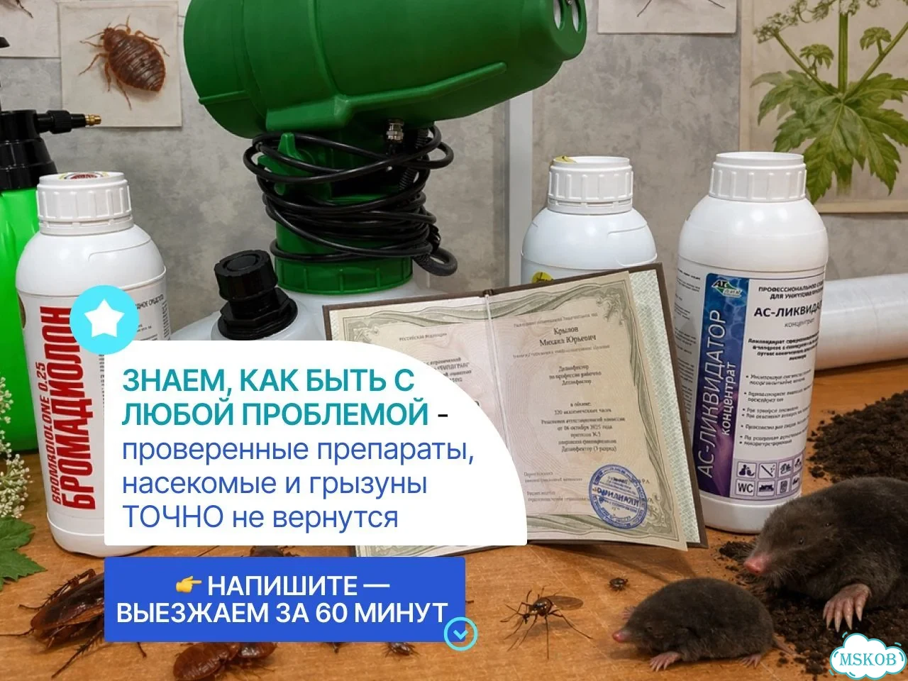 Уничтожение клопов и тараканов. Дезинсекция фото 3