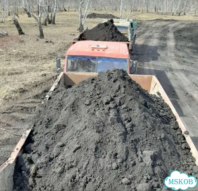 Чернозём Курск фото 4