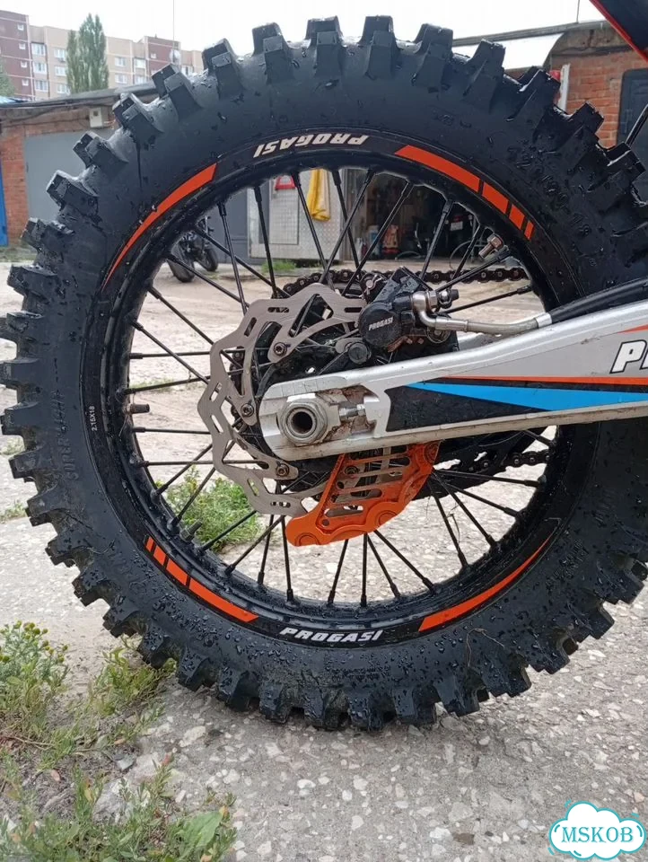 Progasi Endurance 300X EFI, 2025, 389 км фото 13