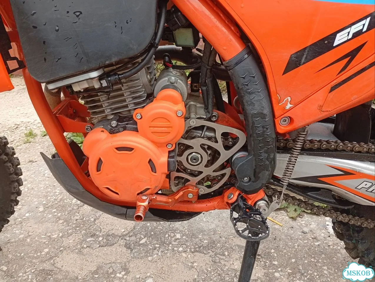 Progasi Endurance 300X EFI, 2025, 389 км фото 6