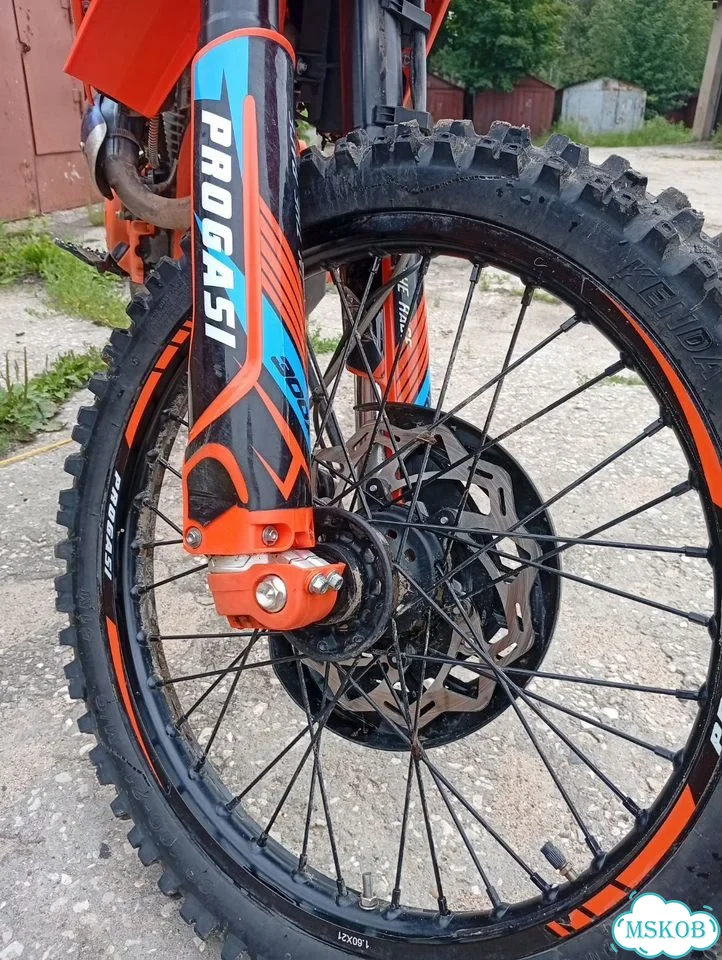 Progasi Endurance 300X EFI, 2025, 389 км фото 7
