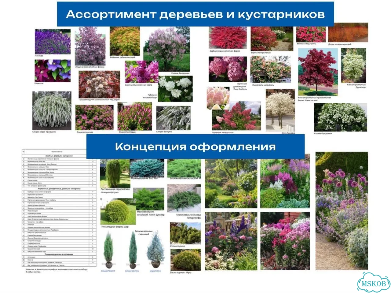 Ландшафтный дизайн, проект участка фото 10