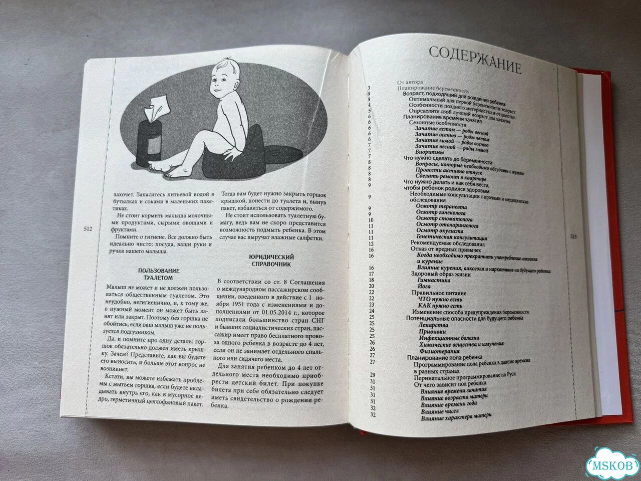 Сама полная книга мамы фото 6