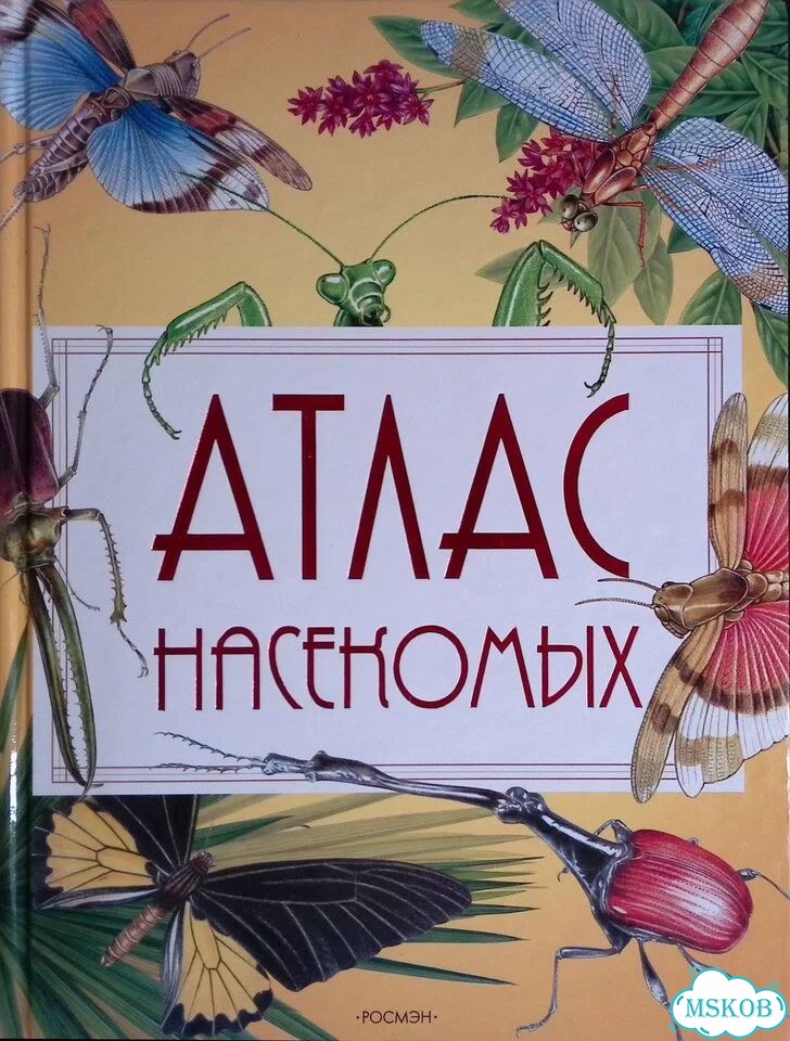 Атлас насекомых фото 1