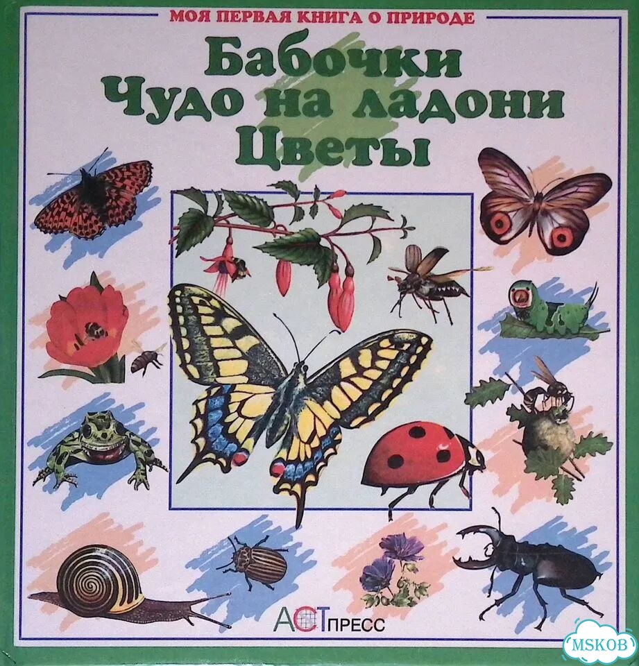Бабочки. Чудо на ладони. Цветы фото 1
