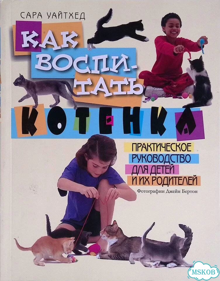 Как воспитать котенка. Практическое руководство для детей и их родителей фото 1
