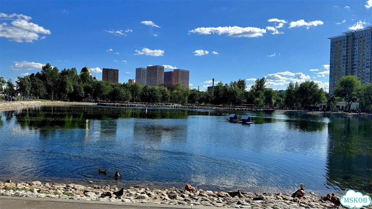Квартира-студия, 13,2 м², 1/12 эт. фото 9