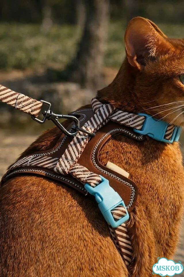Шлейка с поводком для кошек и собак из экокожи фото 1