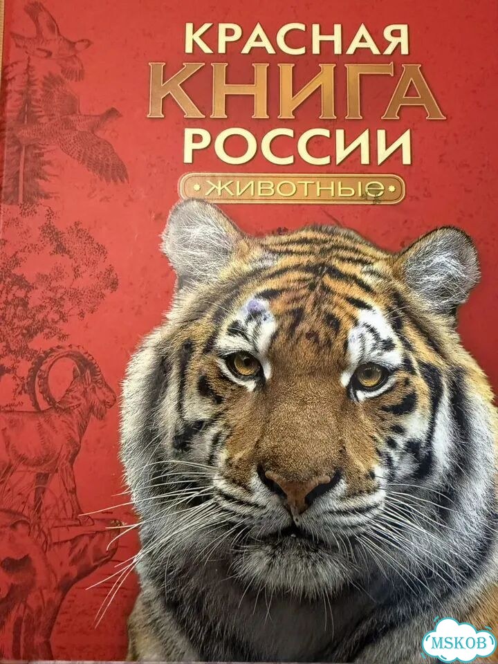 Энциклопедии для детей фото 5