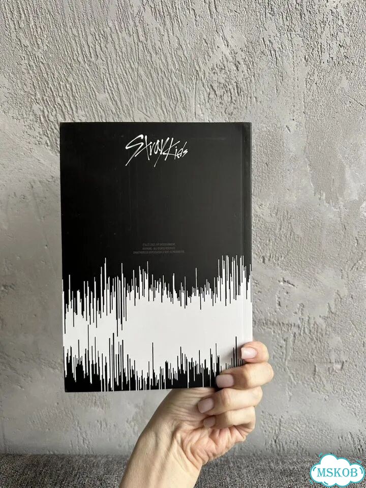 Альбом группы Stray Kids noeasy ограниченныйвыпуск фото 8