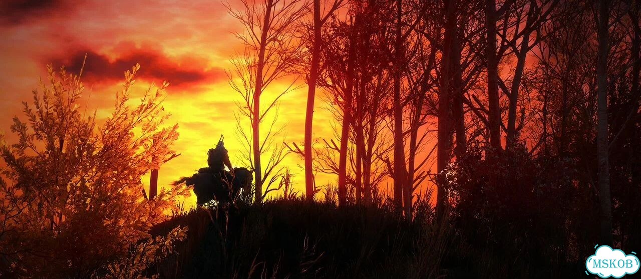 The Witcher 3 Wild Hunt / Ведьмак 3 (Steam / KZH) фото 10