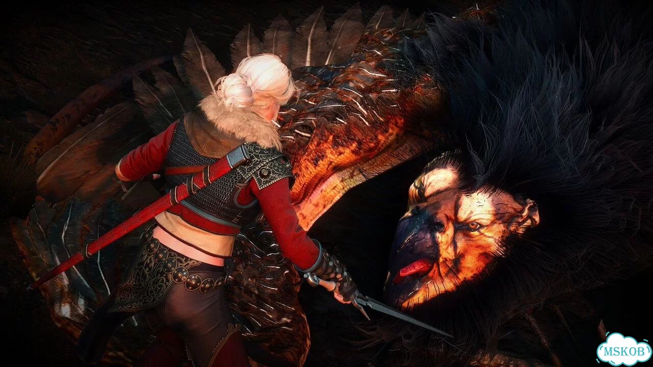 The Witcher 3 Wild Hunt / Ведьмак 3 (Steam / KZH) фото 5