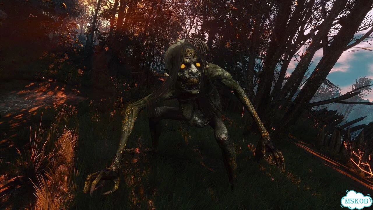 The Witcher 3 Wild Hunt / Ведьмак 3 (Steam / KZH) фото 8