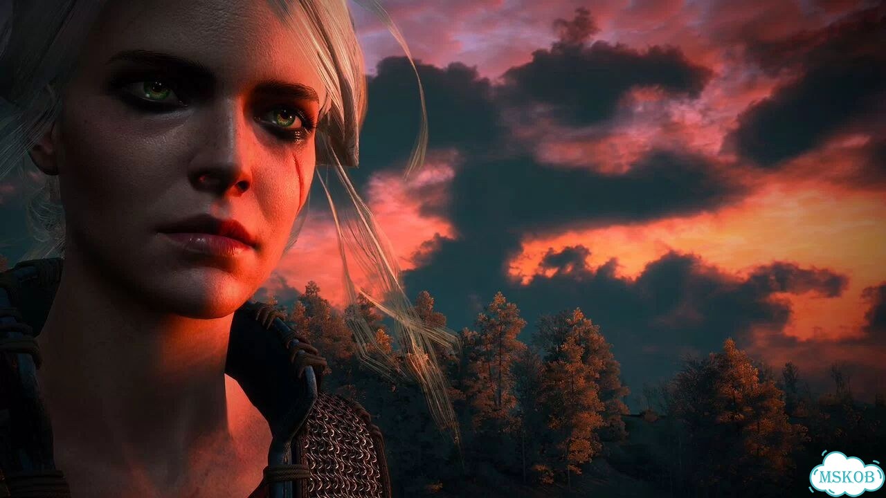 The Witcher 3 Wild Hunt / Ведьмак 3 (Steam / KZH) фото 9