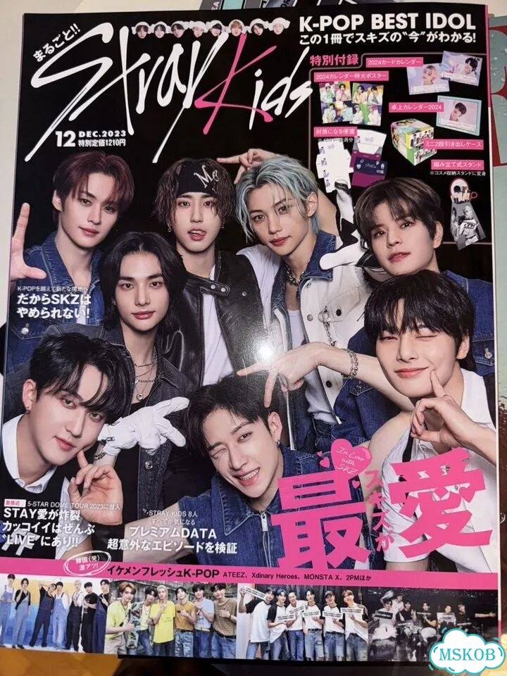 Stray kids журнал фото 5