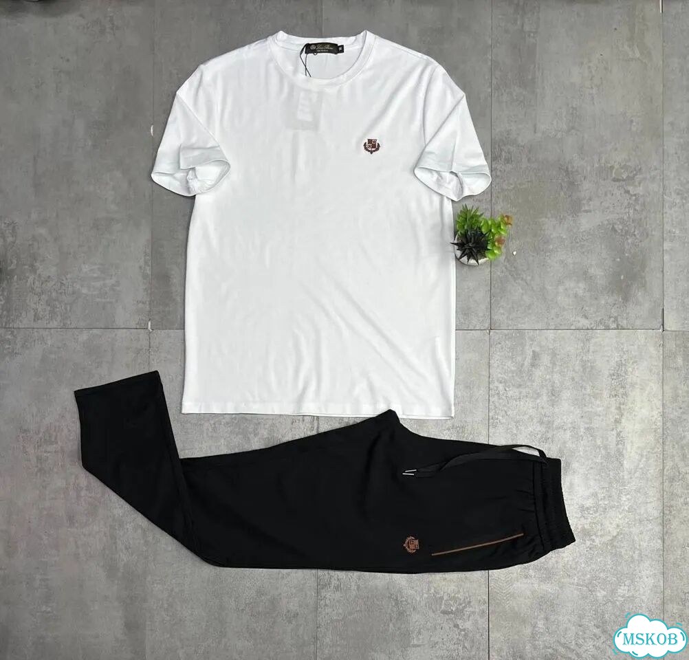 Костюм двойка Loro Piana штаны+футболка фото 2
