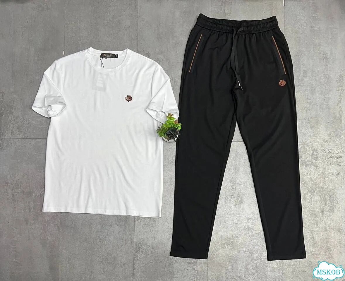Костюм двойка Loro Piana штаны+футболка фото 4