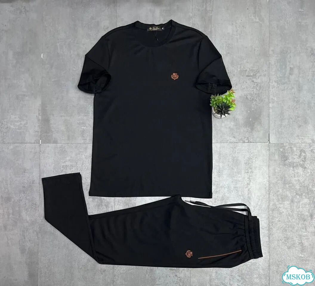 Костюм двойка Loro Piana штаны+футболка фото 7