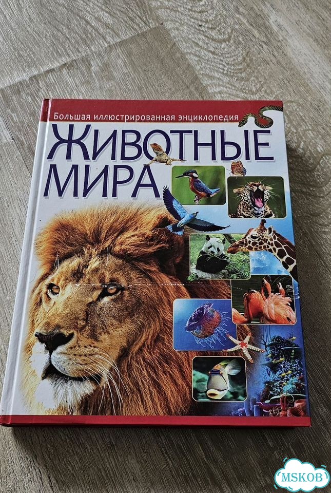 Животные мира энциклопедия фото 1