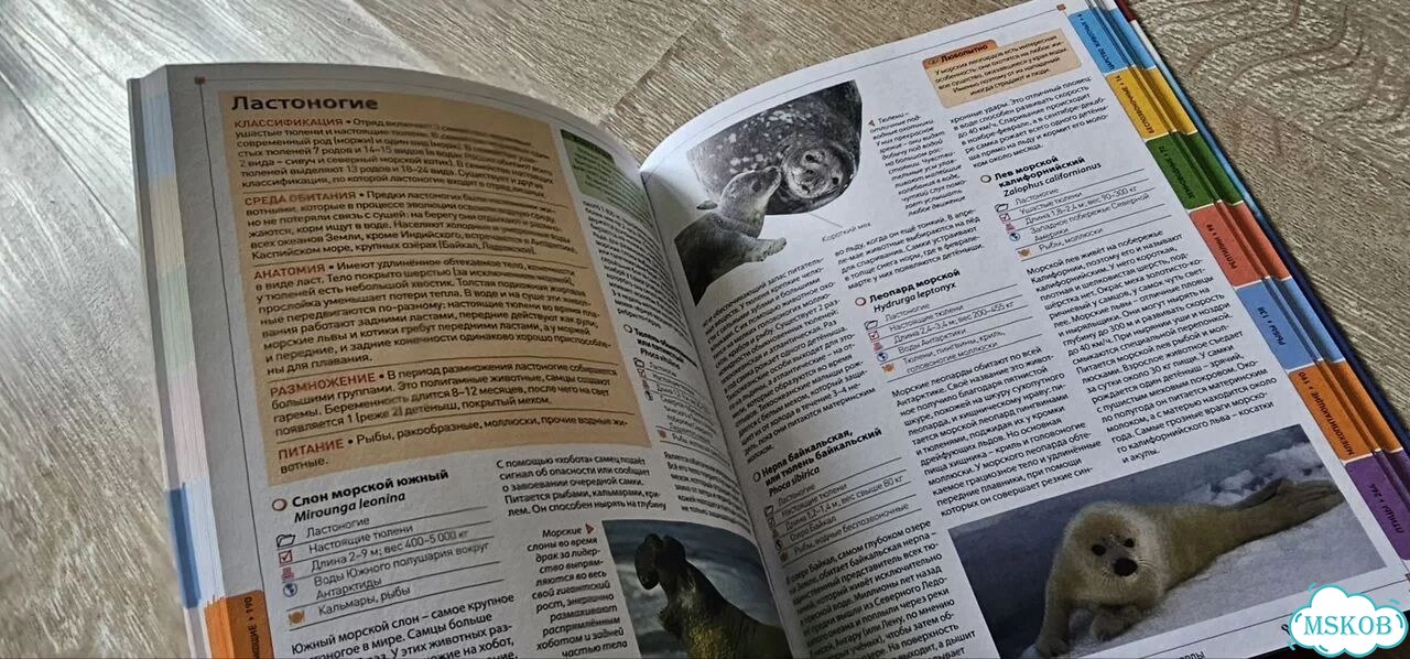 Животные мира энциклопедия фото 10