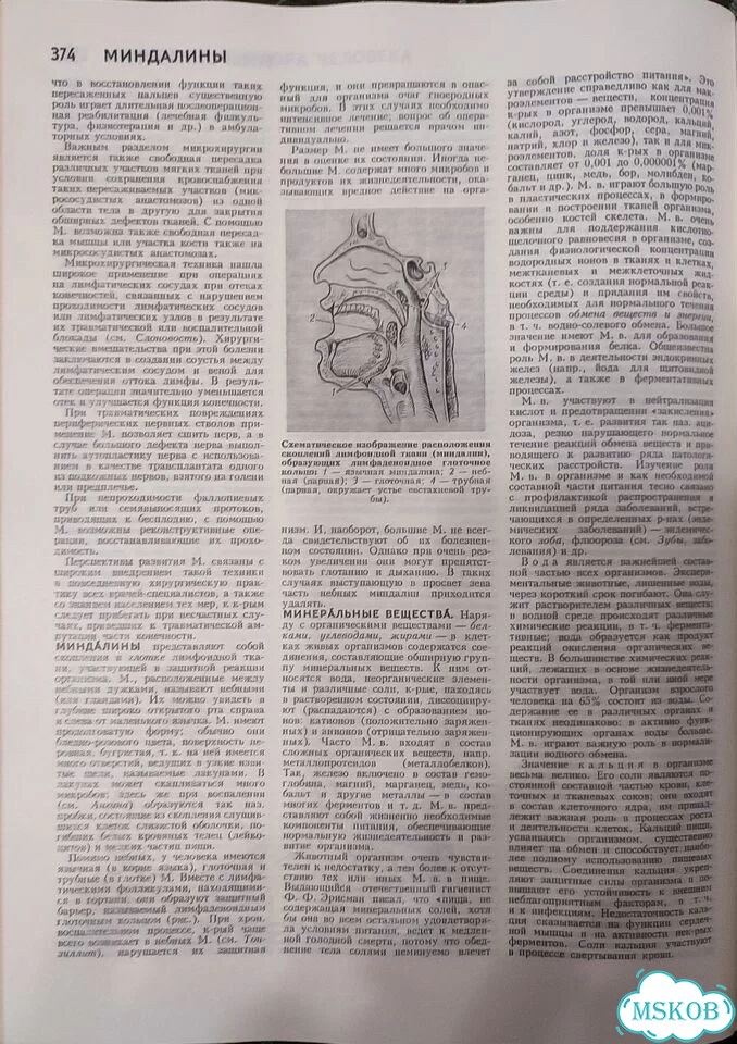 Популярная медицинская энциклопедия, Петровский фото 4