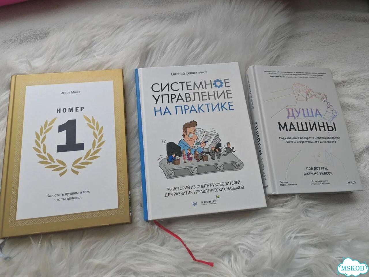 Книги Номер 1, Душа машины, Системное управление фото 1