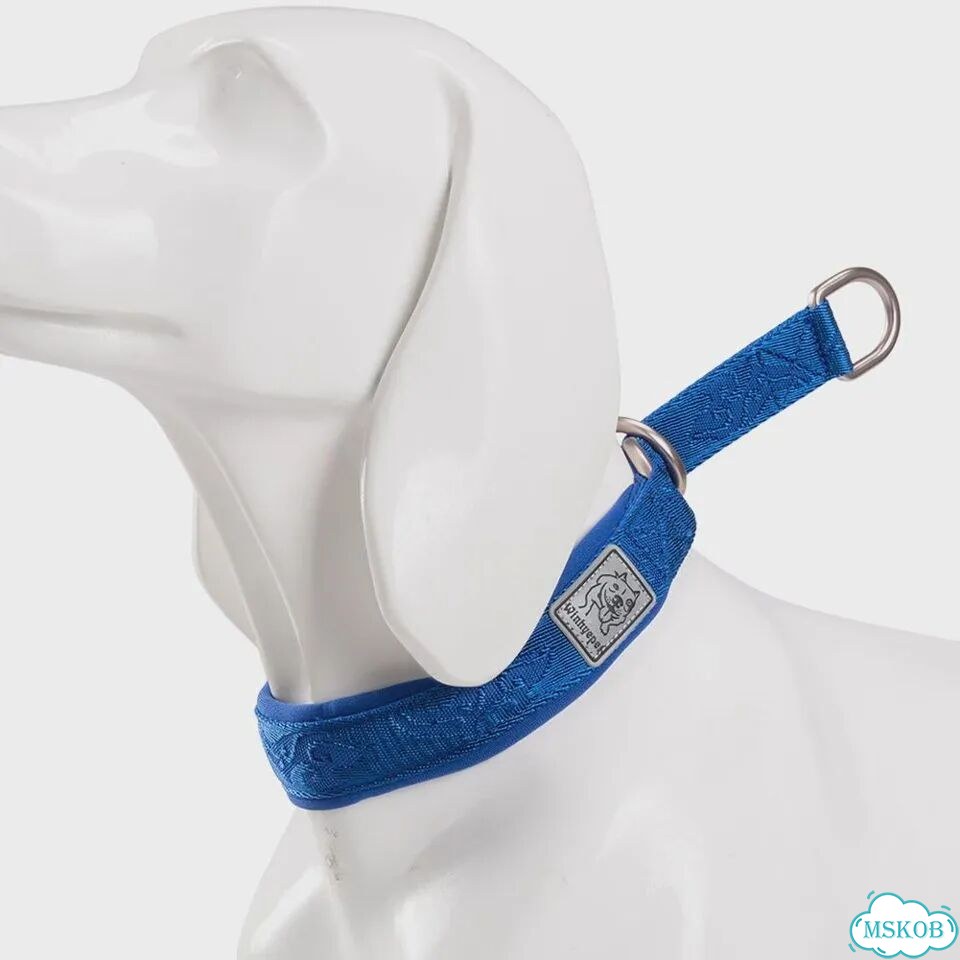 Winhyepet ошейник YC1851 королевский синий фото 4