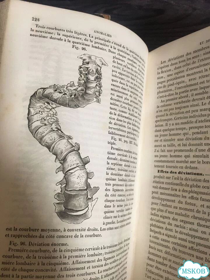 Антикварные книги фото 8