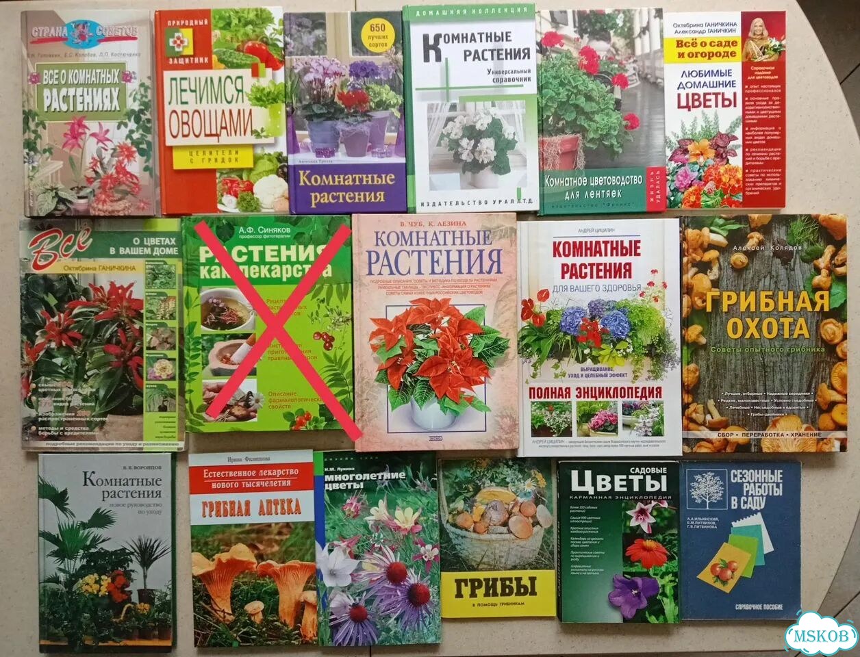 Книга о комнатных цветах грибах фото 1