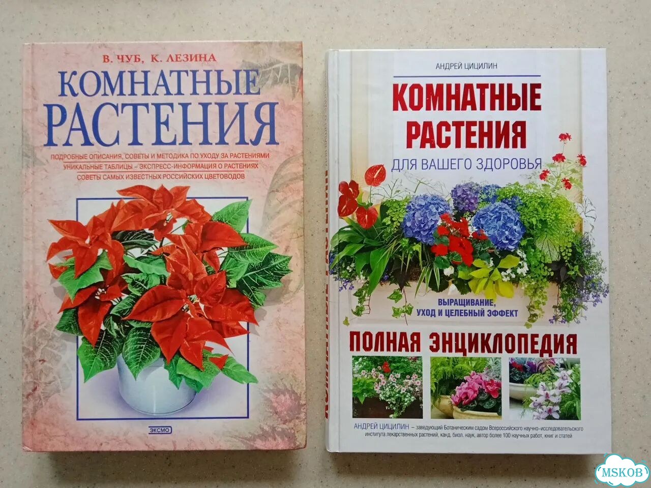 Книга о комнатных цветах грибах фото 2
