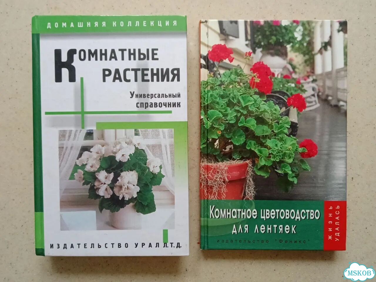 Книга о комнатных цветах грибах фото 3