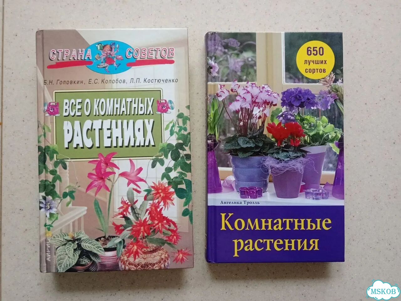 Книга о комнатных цветах грибах фото 4
