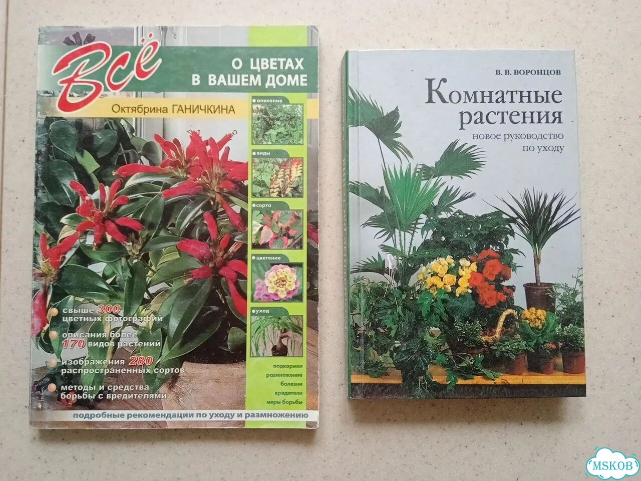 Книга о комнатных цветах грибах фото 5