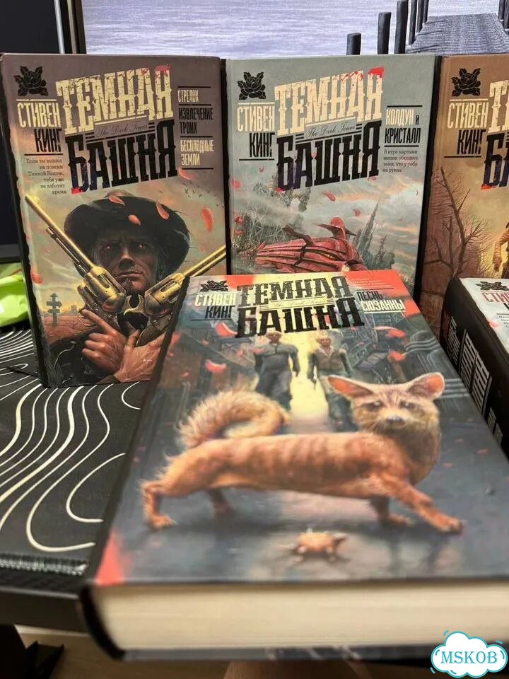 Цикл «Темная башня» (все книги), Стивен Кинг фото 3