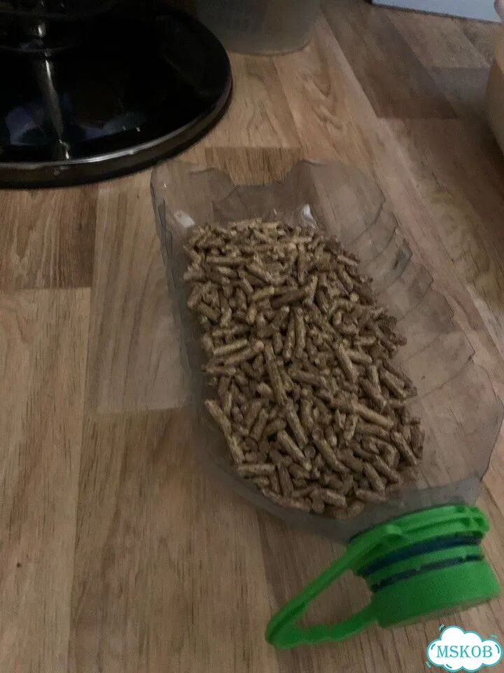 Котёнок в добрые руки фото 2