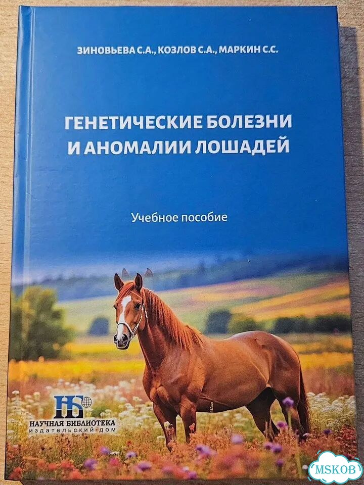 Книги фото 4