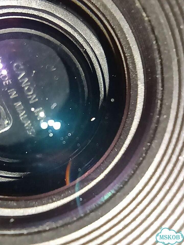 Объектив canon ef 50mm f 1 8 stm фото 5