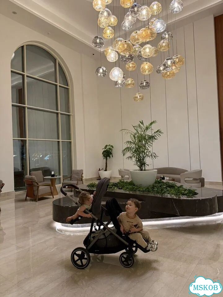 Коляска cybex gazelle s для погодок фото 2