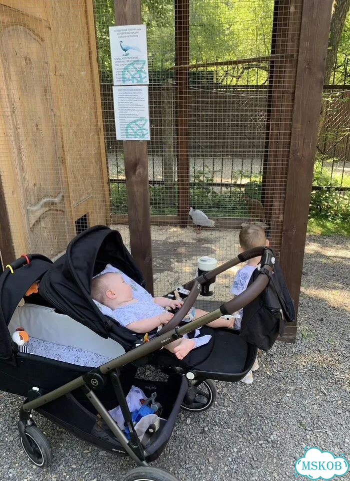 Коляска cybex gazelle s для погодок фото 3