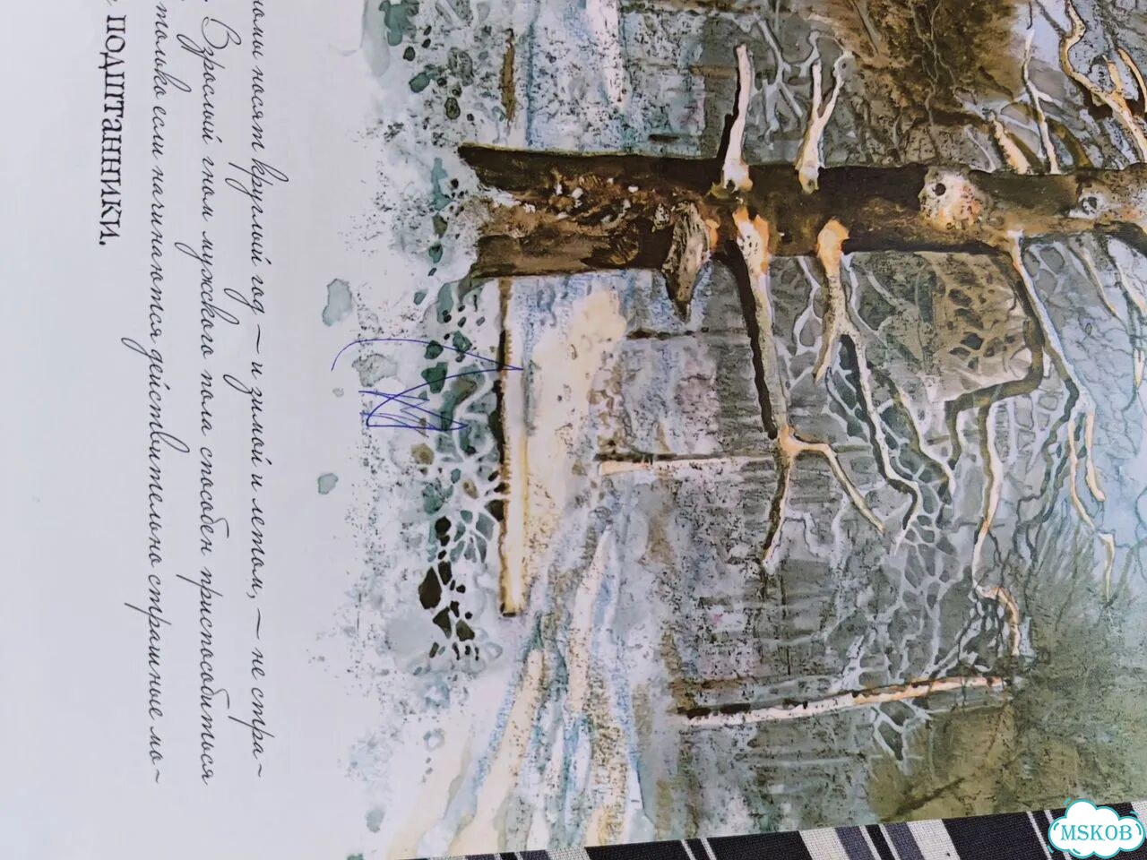 Вил Хейген Гномы книга фото 10