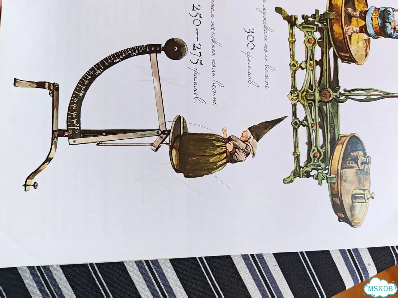 Вил Хейген Гномы книга фото 4
