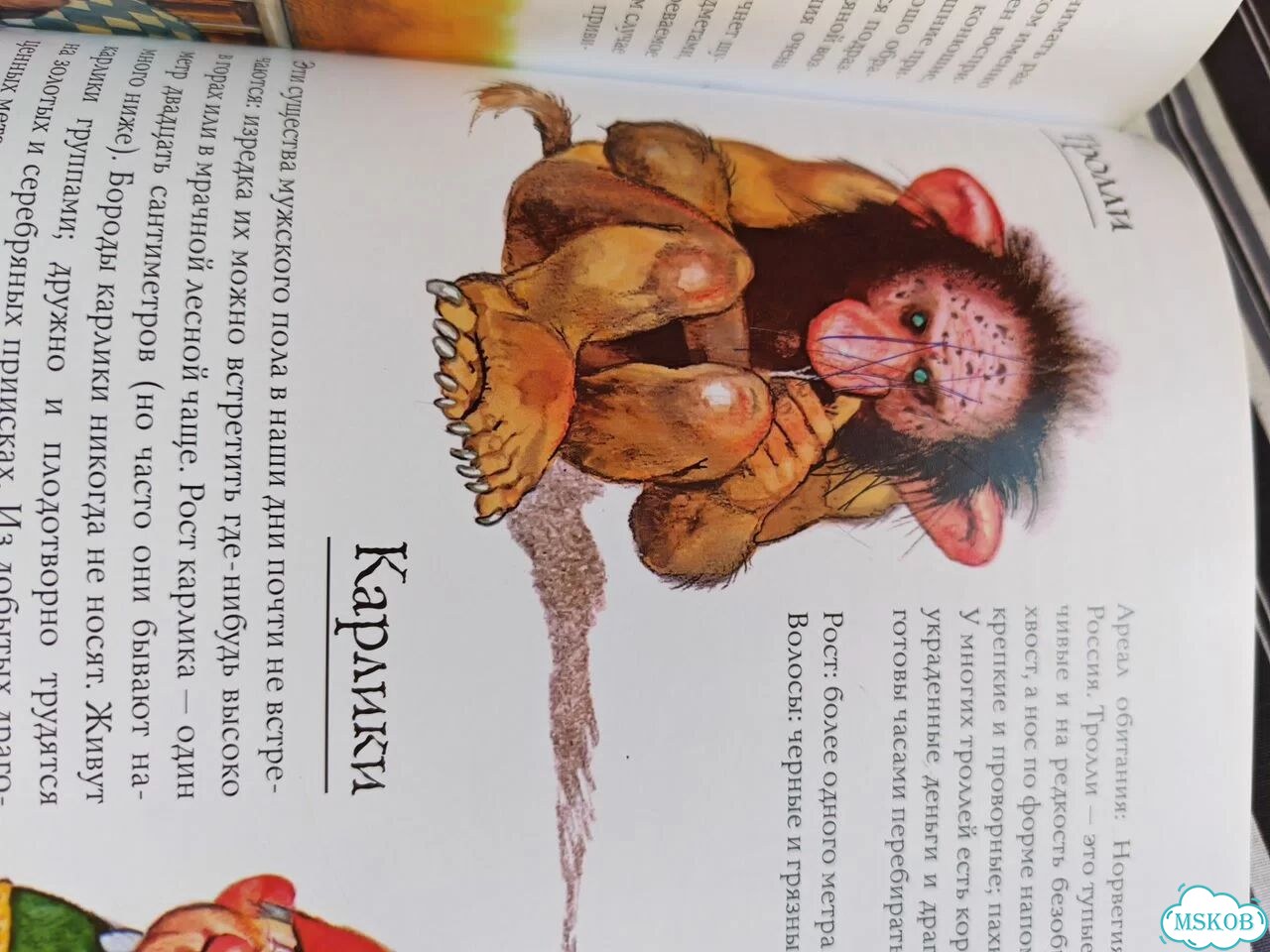 Вил Хейген Гномы книга фото 8