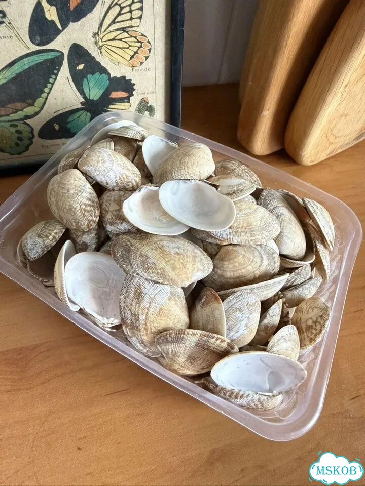 Ракушки для поделок фото 3