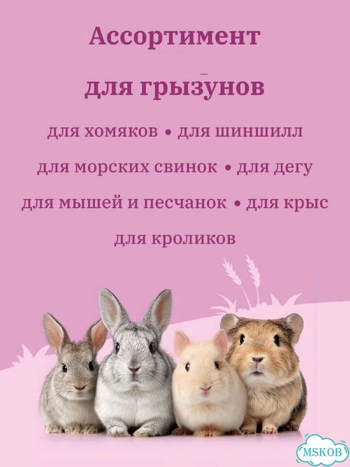 Лакомство для грызунов с кроликом и фруктами фото 5