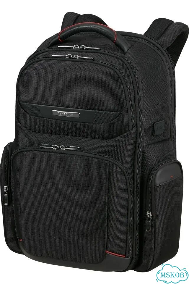 Samsonite Рюкзак PRO DLX 6 Backpack 17.3 black фото 1