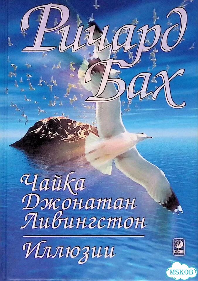 Чайка Джонатан Ливингстон. Иллюзии фото 1