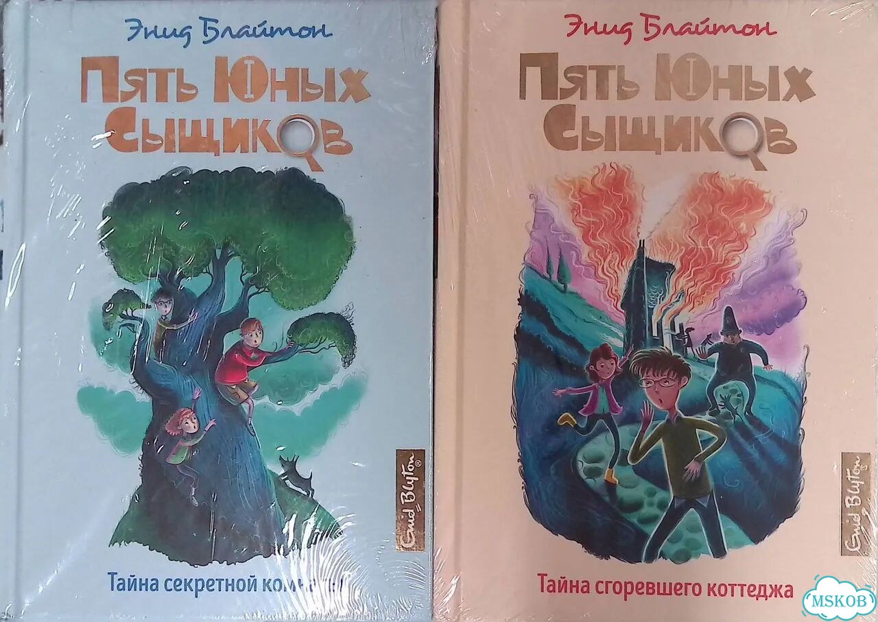 Тайна секретной комнаты. Тайна сгоревшего коттеджа (комплект из 2 книг) фото 1
