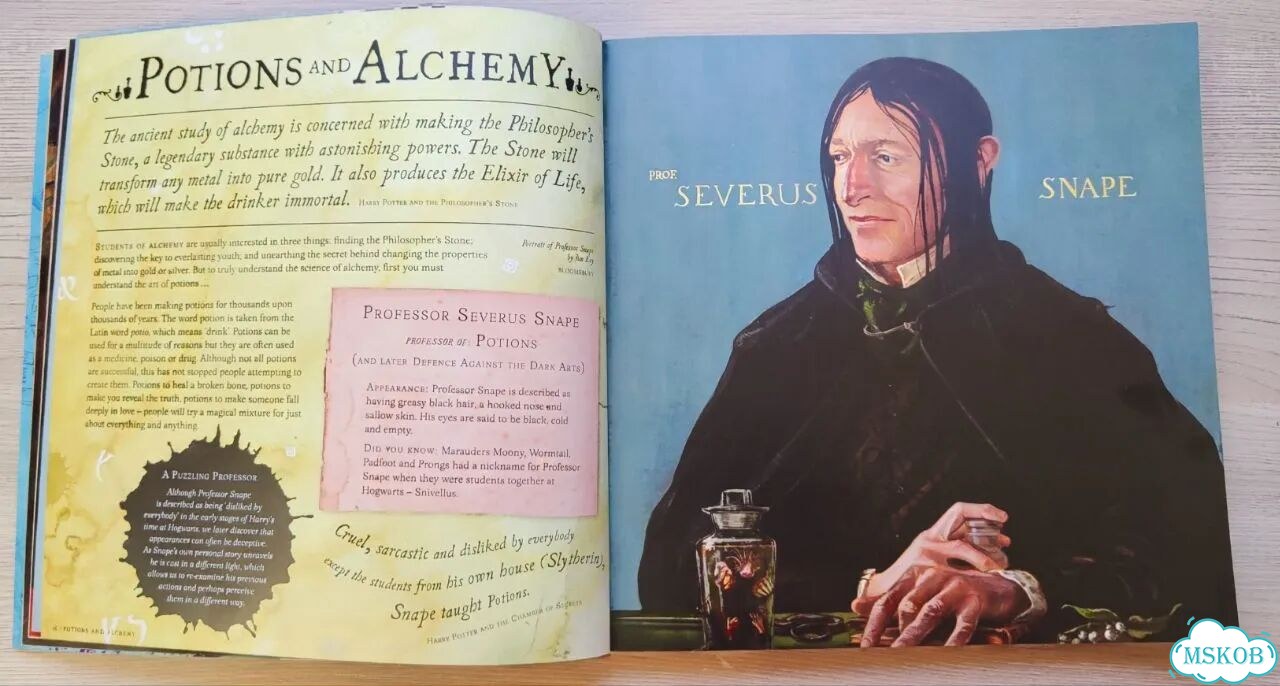 Книга Harry Potter: A History of Magic фото 2