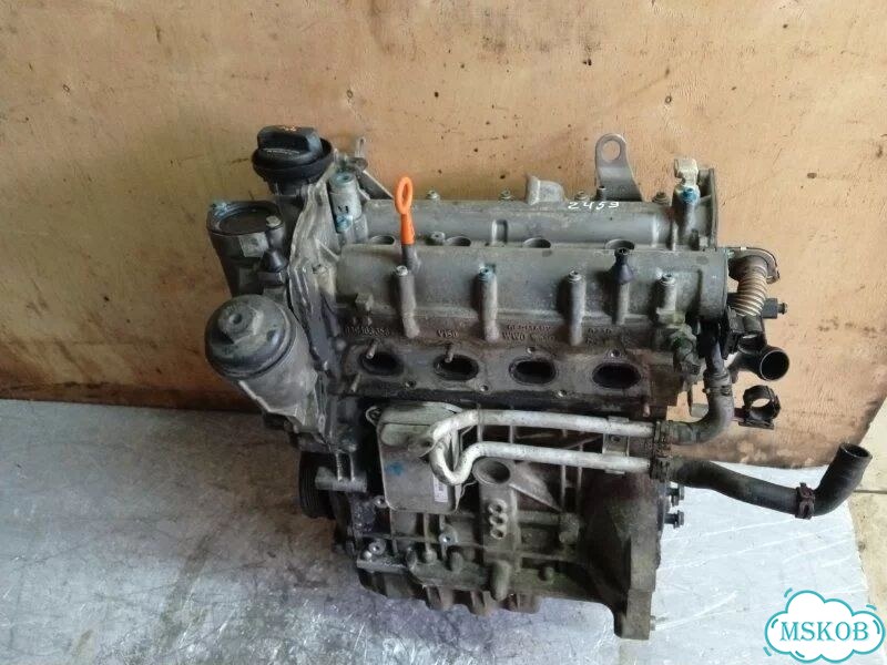 Двигатель BLF Volkswagen Passat B6 1.6 2006 фото 1